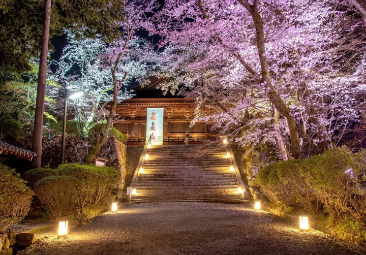 🏞️ 비와코 지구 시민의 숲(비와코 치큐 시민노모리) 이미지 3